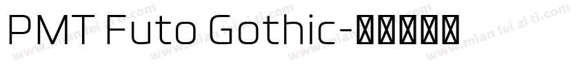 PMT Futo Gothic字体转换